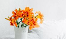 特别好面子，最怕丢脸的生肖