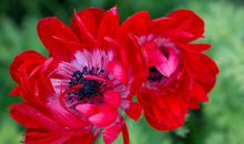 4月份开始，随遇而安，得心应手，好运相伴的三大星座