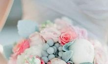 生肖属狗人2020年农历八月宜结婚嫁娶的黄道吉日有哪些