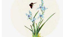 2020年农历十一月二十二出生的女孩怎么起名字，五行八字是什么