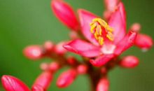 未来20天，喜迎财神爷，财源不断的三大生肖！