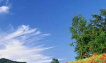 生肖属龙的女人2020年桃花运，运势平顺，顺利遇到优质桃花