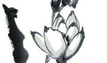 周易免费八字网站,八字算命注意事项