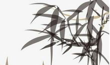 2020年农历二月二十三出生的女孩是什么命，怎么起名字运势好