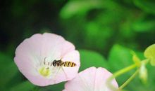 11月18号财神关照，钱财大赚，遇见真爱，生活从此富裕的生肖