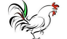 不同年份出生的属鸡人多少岁了？2020年属鸡的多大了？