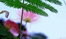 未来30天，4属相好运连连，贵人鼎力相助，事业如日中天