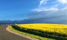 职场如鱼得水，最容易高升的4大生肖