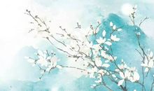 2020鼠年４月生肖属兔人财运如何，有所提升积累财富