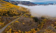 讨厌劝自己放弃的人，就算对方好心，也忍不住发脾气的3星座