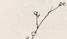 2020年5月11号四月十九日生的男孩命运好吗，取什么名字好