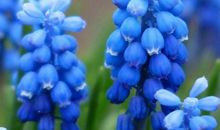 11月17号金财银财如泉涌，万事亨通的生肖，以后富贵在手不用愁