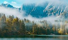 生肖属马的女人2020年桃花运，运势一般，感情发展一切皆有可能