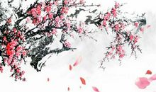 生肖猪的人2020年婚姻详解，单身人士机会多多，已婚人士幸福温暖