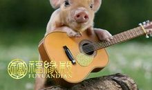 属猪时辰出生的命运