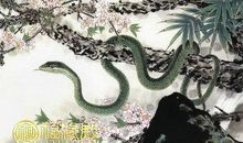 男属蛇和什么属相最配