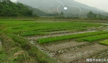 原创 南宁风水大师：风水宝地挖的遍体鳞伤，风水培训极美的地方