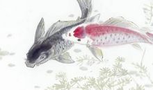 含有水属性的女孩名字，这些字带有水属性都适用于女孩取名