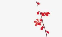 人的命运是姓名重要还是生辰八字重要,什么样的人需要改名转运