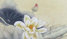 1973年生的47岁生肖属牛人2020年运势好吗，抓住机遇，大发横财！