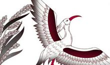 生肖属兔的女人在2020年财运，本领高、非富即贵