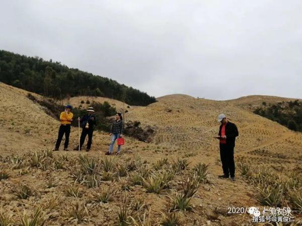 著名风水师黄俊仁带领弟子考察传说中的韩信点兵风水宝地 10