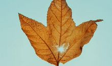 缓解12生肖男冷暴力的正确姿势