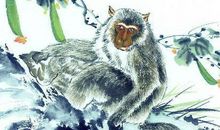 人穷志不穷的3个生肖，终有一日翻身做有钱人！