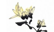 2020年3月8日二月十五生的男孩命运好吗，取什么名字福气好