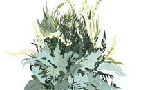 2020年农历四月和闰四月生肖属牛和生肖属猪最佳订婚黄道吉日