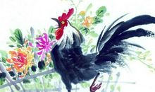 这三个生肖女最有福气，一辈子都衣食无