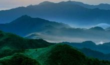 生肖属蛇的女人2020年桃花运，烂桃花数不胜数，单身人士影响小