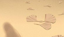 墓碑可以拍照吗 风水有什么讲究