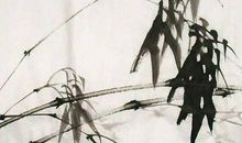 壁上土命人住几层楼最好，5楼以及10楼