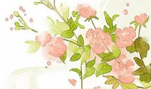 2019年12月13号出生的男孩命运解析，起名用什么字最好