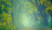 上升星座水瓶座的人，坚持自己的想法，特立独行