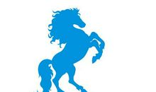 2020年属马人运程以及运势，,属马人2020年运势好吗