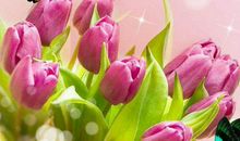 11月底运势上升，感情美满，钞票涨不停，定能受人敬爱的3生肖