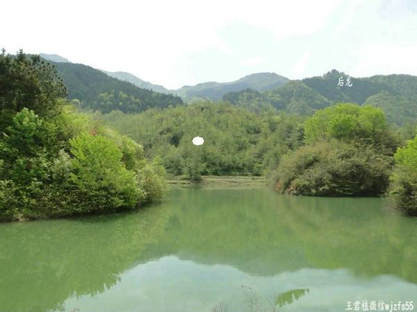 南昌风水大师：王君植江西寻龙点穴龙吐珠风水宝地，风水培训学习好案例