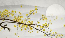 1995年子时出生的生肖属猪人命好吗，幼年见刑伤，子女运较差