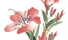 2020年4月5号出生的男孩怎么起名字，名字要三才五格吉