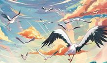 生肖属马的女人在2020年财运，事业成就高，金钱收入高