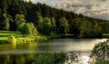 生肖属牛的女人2020年桃花运，运势低迷，找到对策才有望遇合适对象