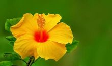 2月18号起，运势旺盛，好运相伴，财源广进，吉祥富贵的星座