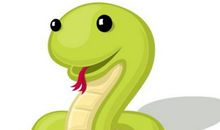 2020年属蛇人运势及运程，要佩戴什么吉祥物破解