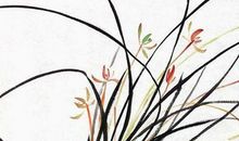 2020年3月31号三月初八生的女孩是什么命，起什么名字有福气