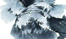 1974年生的46岁生肖虎人2020年运势好吗，财运风生水起!