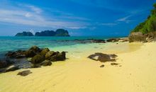 2月下旬起运势高涨，福气满满，财神不请自来，财库丰盈的3生肖