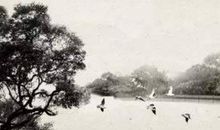 2020年七月出生好不好,鼠宝宝出生的最好时刻