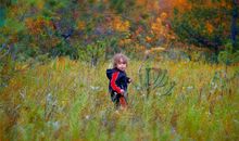 适合取名的第二声的字